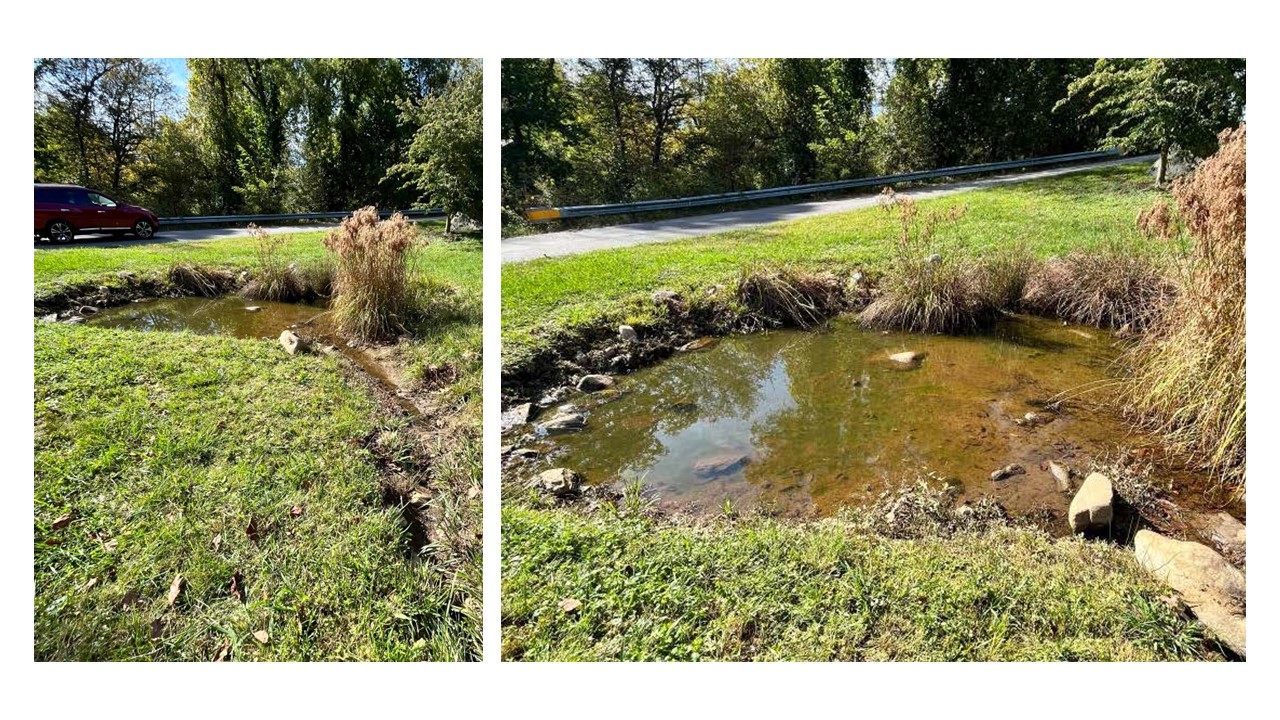 Rain Garden, initial condition