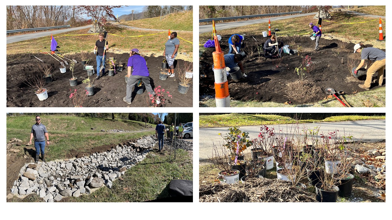 Rain Garden Restoration, Haywood Waterways, WCU