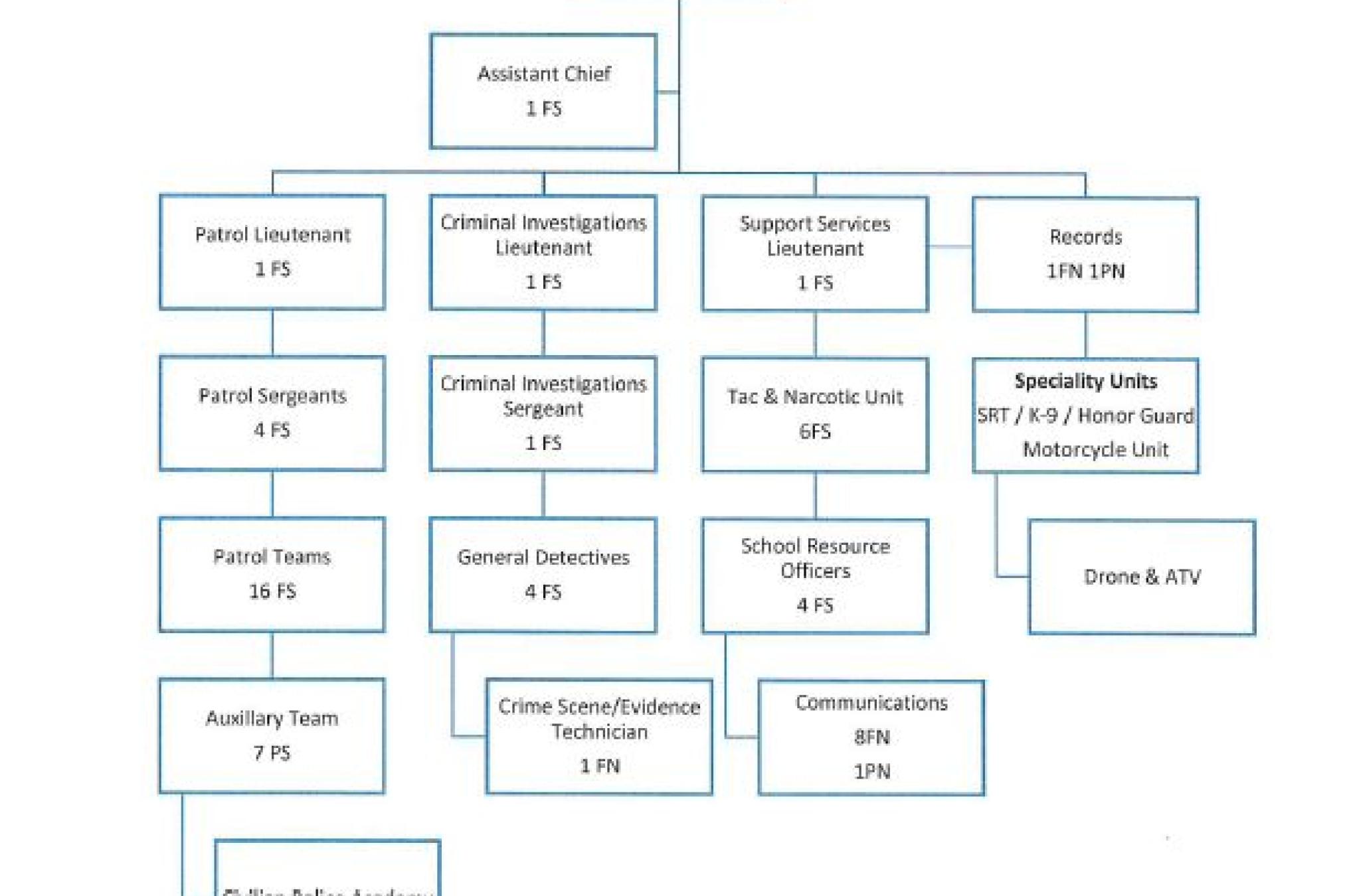 Police Department Organizational Chart