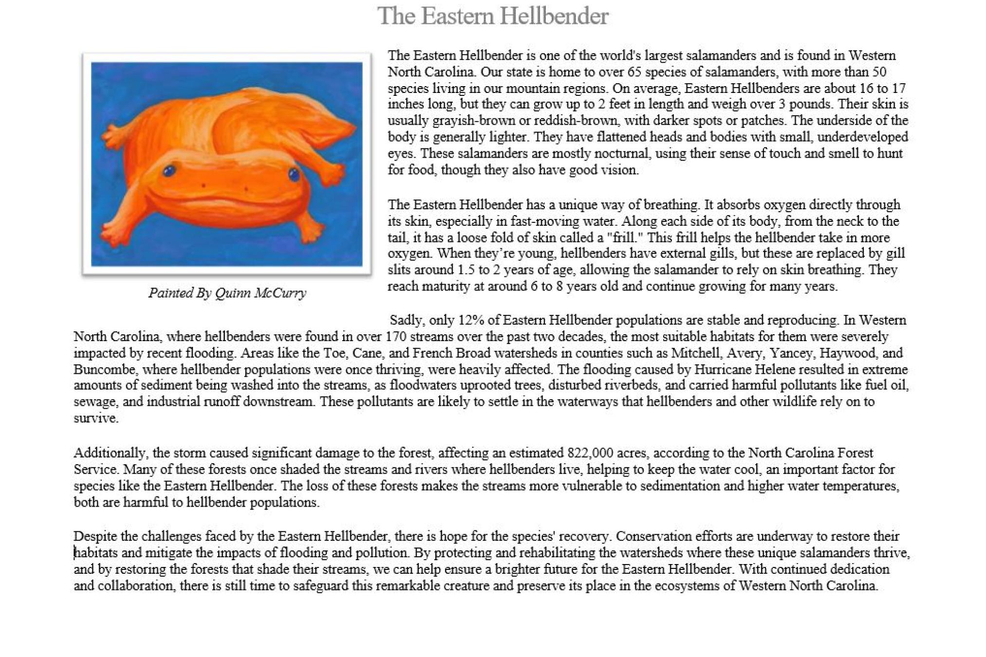 Eastern Hellbender