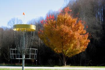 A disc golf basket on the Waynesville Disc Golf Course beside a tree in fall color.