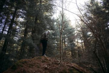 Image of the Forest