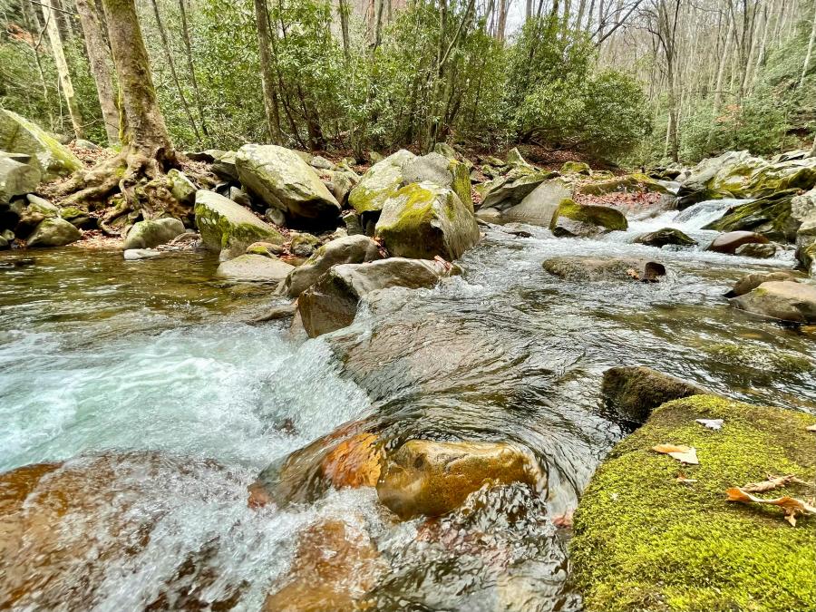 Mouse Creek Falls