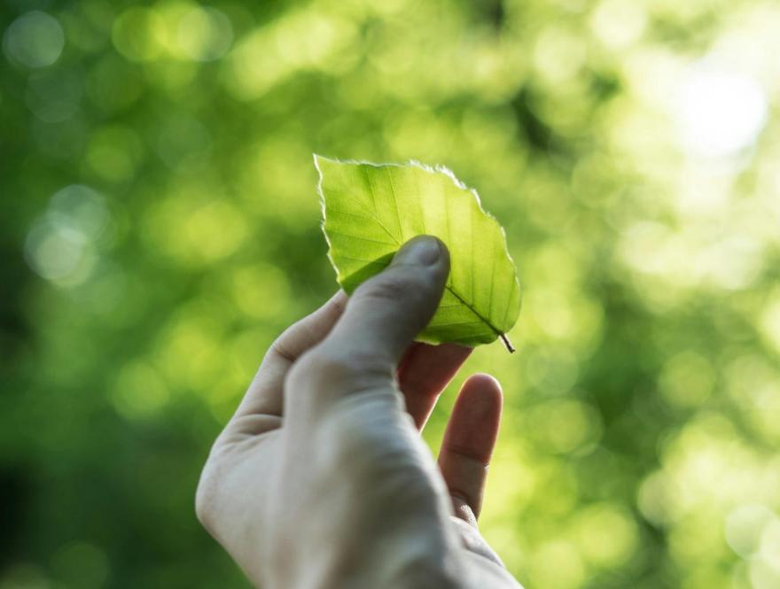 Sustainability