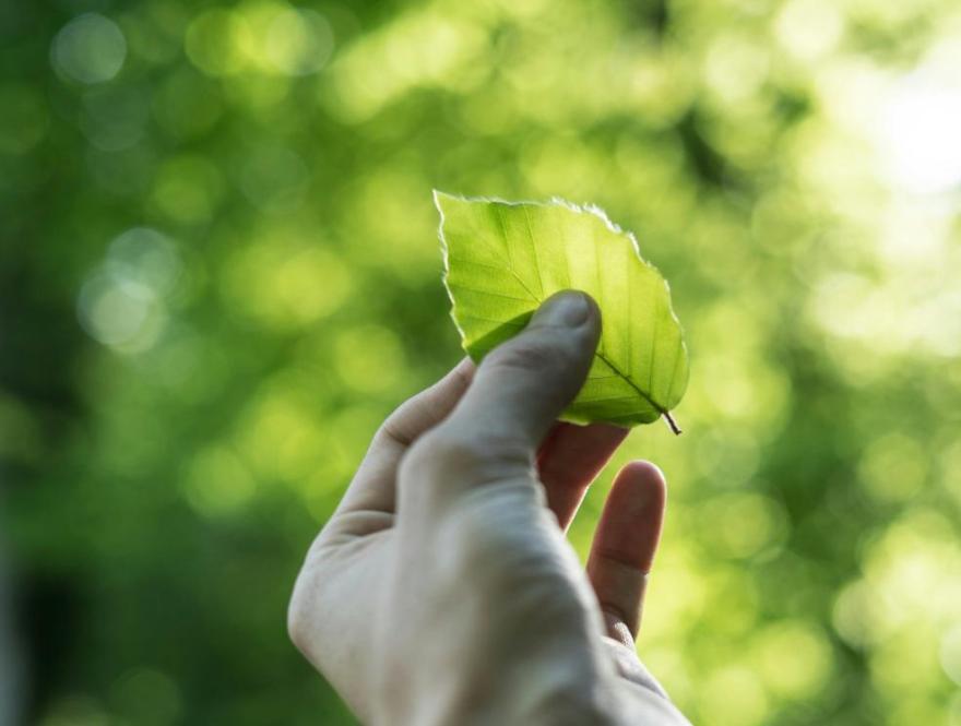 Residents Sustainability Resources