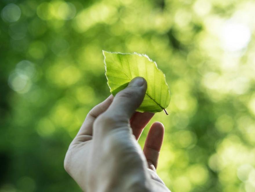 Visitor Sustainability Resources