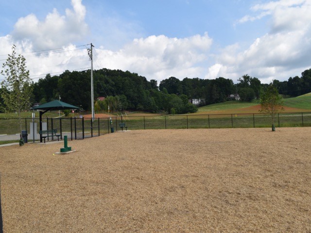 Dog Park